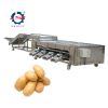 Hot sale Orange Mango Apple Avocado Fresh Lemon Citrus Fruit Grading Sorter Washing Sorting Machine