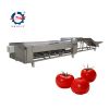 fruit sorting machine vegetable fruit sorting grading machine mango fruit sorting machine