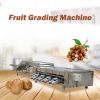 Hot sale Orange Mango Apple Avocado Fresh Lemon Citrus Fruit Grading Sorter Washing Sorting Machine