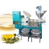 Automatic Screw Twin Palm Ground Nut Coconut Sunflower Oil Press Machine