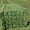 Livestock Feed Alfalfa Hay and Timothy Hay