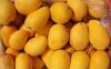 FRESH MANGOES