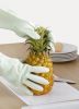 Household dishwashing ...