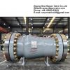 Axial Flow Check Valve