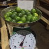 Fresh Seedless Lime from Vietnam