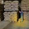 Green Robusta Beans fr...