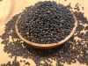 Black Pepper Seeds