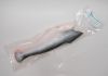 PANGASIUS HGT (HEADLES...