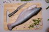 PANGASIUS HGT (HEADLES...