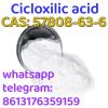 Cicloxilic acid CAS: 57808-63-6 99% white powder FUBEILAI