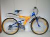 mountain bike