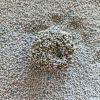 Cat Litter