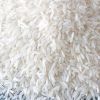 IRRI6 White Rice Exporters: We Are Here to Serve You with High-Quality Products at the Best Price