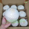 Fresh Young Coconut_Very Sweet and Cheap (Whatsapp +84 769 026 486)