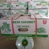 Fresh Young Coconut_Very Sweet and Cheap (Whatsapp +84 769 026 486)