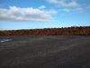 Eucalyptus Wood Chips