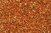 red millet