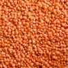 red lentils