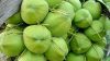Tender Coconut, Semi H...