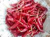 Dry red chilly