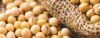 Soybeans