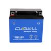 Long-life and high-quality sealed maintenance free motorcycle battery