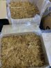 Dried Sea moss / Irish...