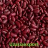 Kidney Beans Available...