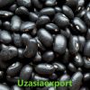 Kidney Beans Available...