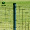 Welded Wire Mesh rolls Galvanized and PVC coating Wire Fence Euro Fencing