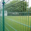 Wire Mesh Fence Panel 2D twin bars Double Wires Germany Galv. with Coating