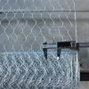 Hexagonal Wire Mesh Galvanized and PVC coating Chicken netting stucco mesh