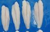 Frozen Pangasius Fillets 