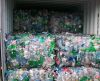 pet bottles scrap