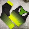 seamless sport clothes sports wear fitness wear gym wear yoga wear sport bra sport legging sport top sport vest