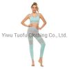 Ladies Seamless Sport Pants Sport Leggings Gym Wear Leggings Yoga Wear Leggings Running Pants