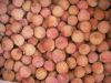 Frozen Lychee