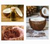 RBD COCONUT OIL /CRUDE COCONUT OIL / VIRGIN COCONUT OIL