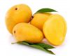 Wholesale Fresh Mango ...