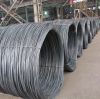 Low carbon SWRY11 AWS ER70S-6 H08A ER70S-3 hot rolled mild steel wire rod in coils