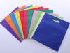 60gsm/70gsm/80gsm PP Nonwoven Bag/Promotion Bag/Shopping Bag