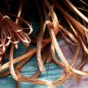 Wholesale Copper Wire ...