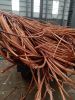 Copper Scrap Red Copper Wire Scarp Min 99.99% Yellow Color Copper Wire for Large Stock