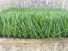 Artificial Grass/Synthetic Turf/Garden Grass