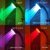 LED shower head