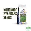 Kohenoor Ryegrass Seed - Boost Forage Quality and Milk Production