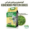 Protein Grass Seed - Boost Milk & Meat Production with Kohenoor