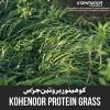 Protein Grass Seed - Boost Milk & Meat Production with Kohenoor