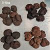 Black Truffles Wild Fresh Truffles +22gr size 4-5cm