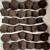 Black Truffles Wild Fresh Truffles +22gr size 4-5cm